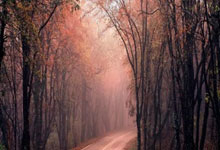 壹号娱乐官网：多特蒙德与朗尼克已经在探索合作的可能性.