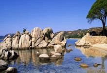 壹号娱乐官网：再战皇马，弗里克执教生涯此前六次带队参加决赛全部夺冠.